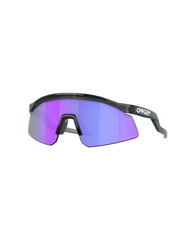 Oakley Hydra 9229 Sunglasses Profitez des Offres !