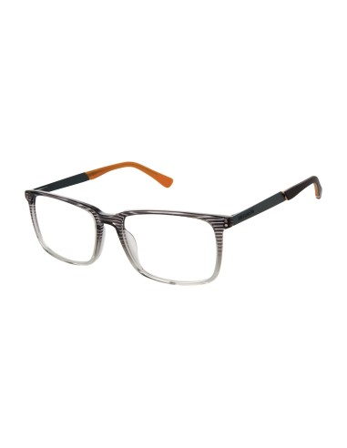 Superdry SDOM003T Eyeglasses le concept de la Pate a emporter 