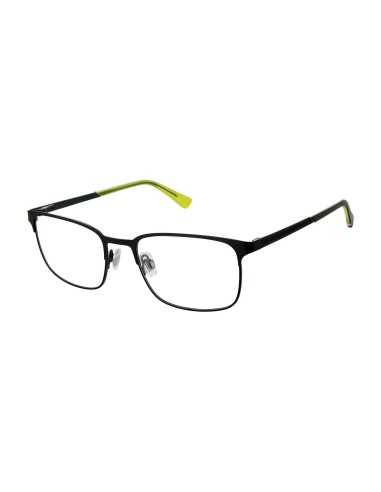 Superdry SDOM502T Eyeglasses Découvrez la collection