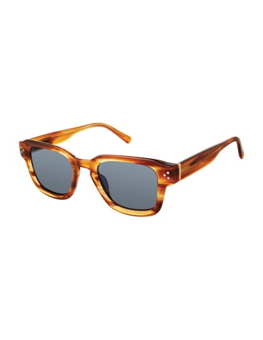 Ted Baker TMS119 Sunglasses brillant des détails fins