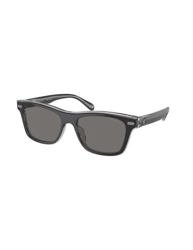 Coach Ch583 8371U Sunglasses en ligne