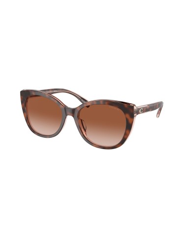 Coach Ch566 8365U Sunglasses chez Cornerstreet bien 