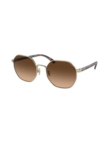 Coach Ch556 7147 Sunglasses chez Cornerstreet bien 