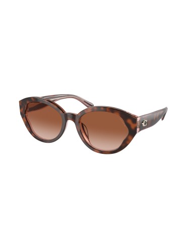 Coach Ch569 8364U Sunglasses la colonne vertébrale